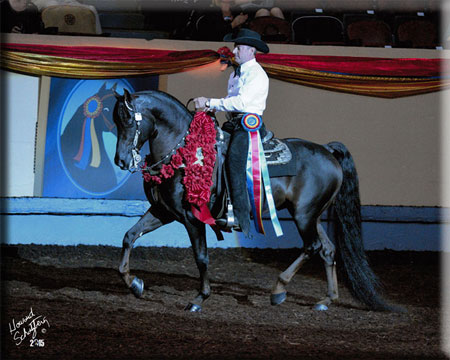 Rick Gervasio & SP Remington, 2015 World Champion Western Pleasure